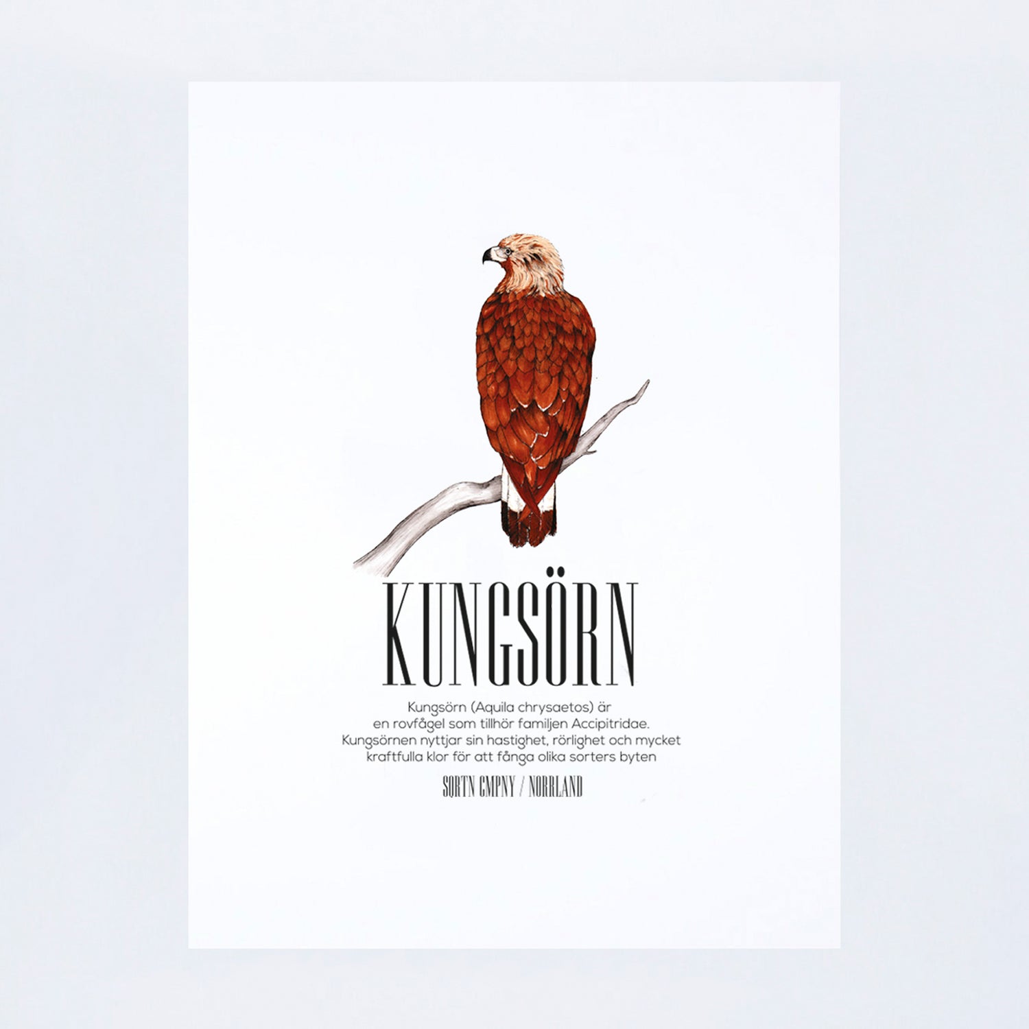 POSTER KUNGSÖRN