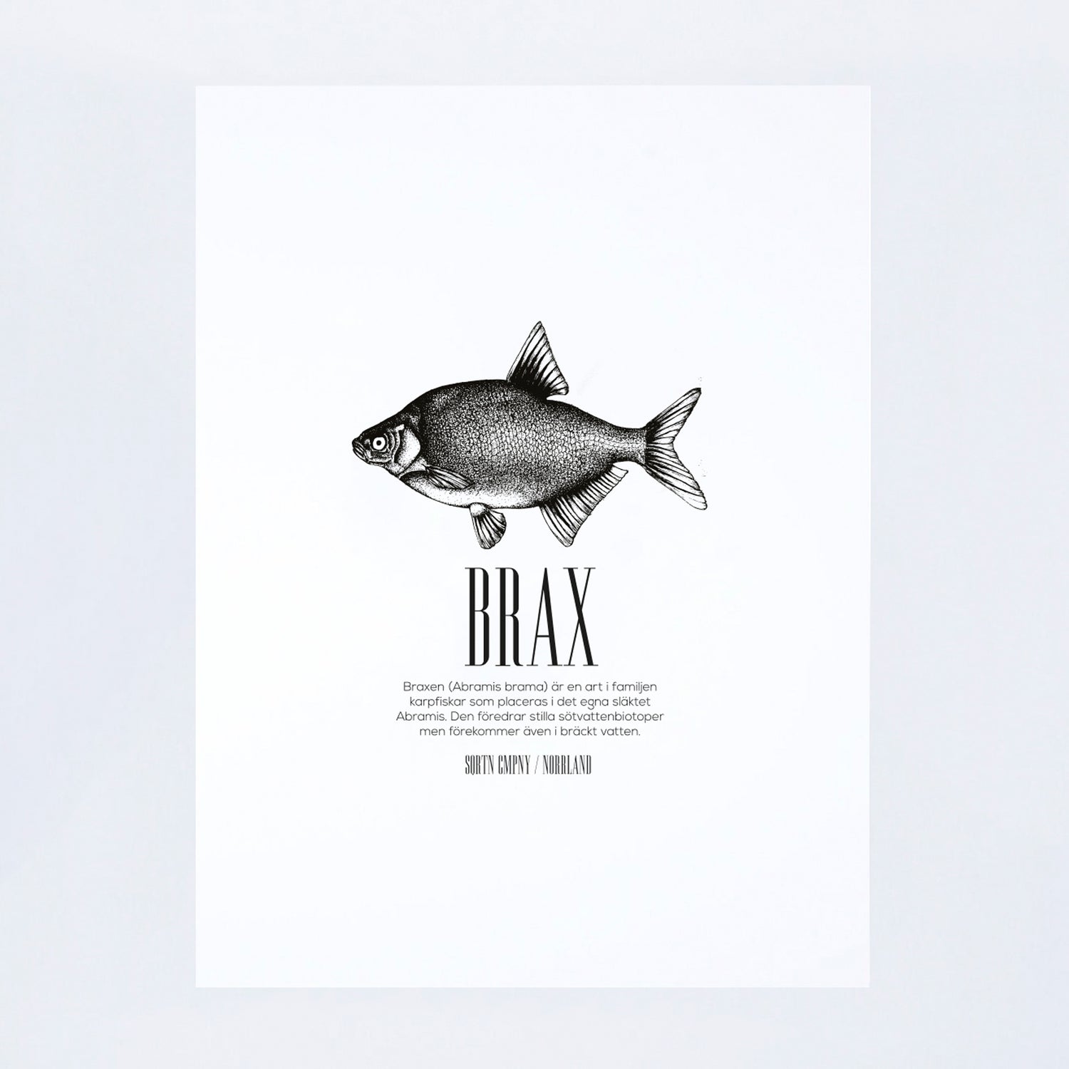 POSTER FISK BRAX