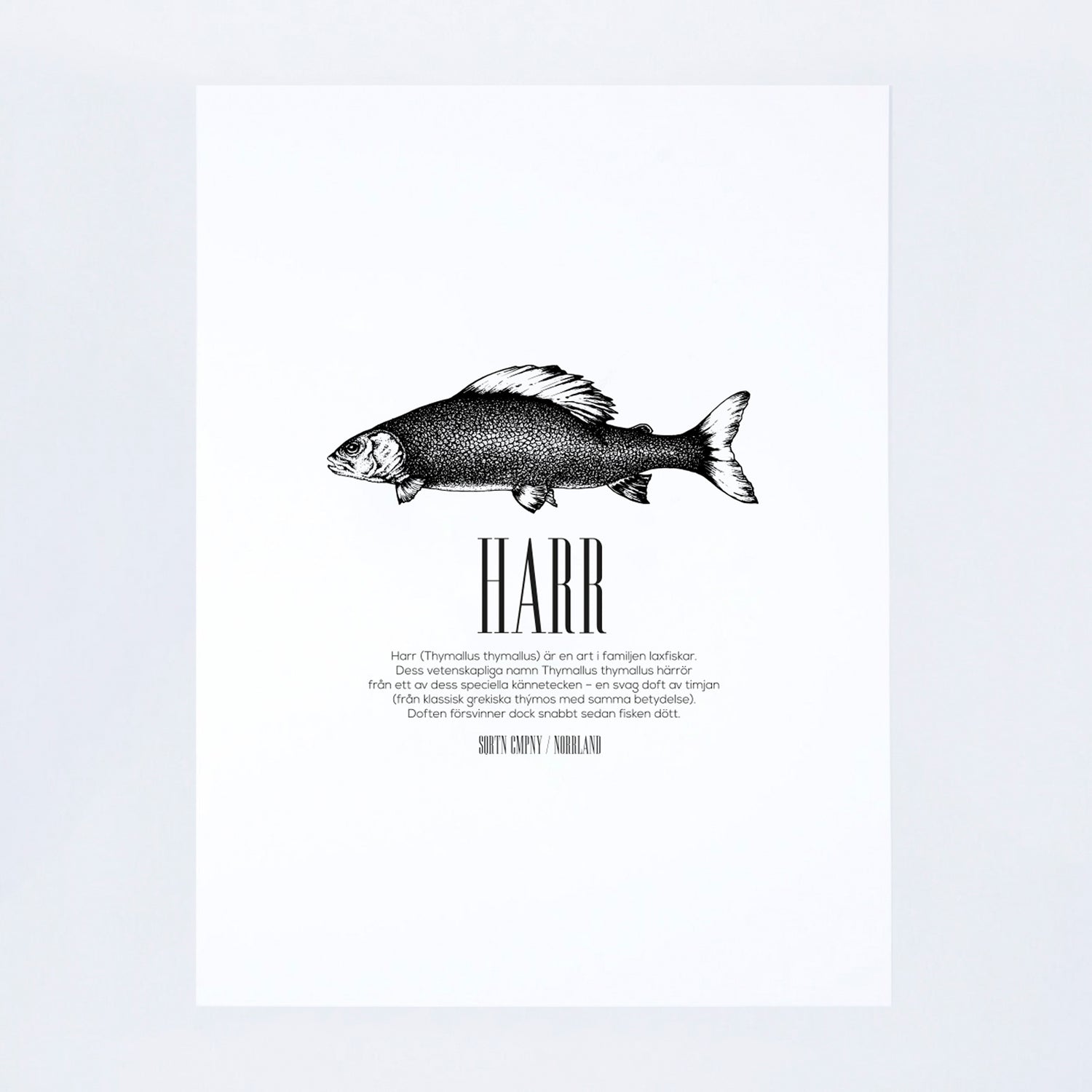 POSTER FISK HARR