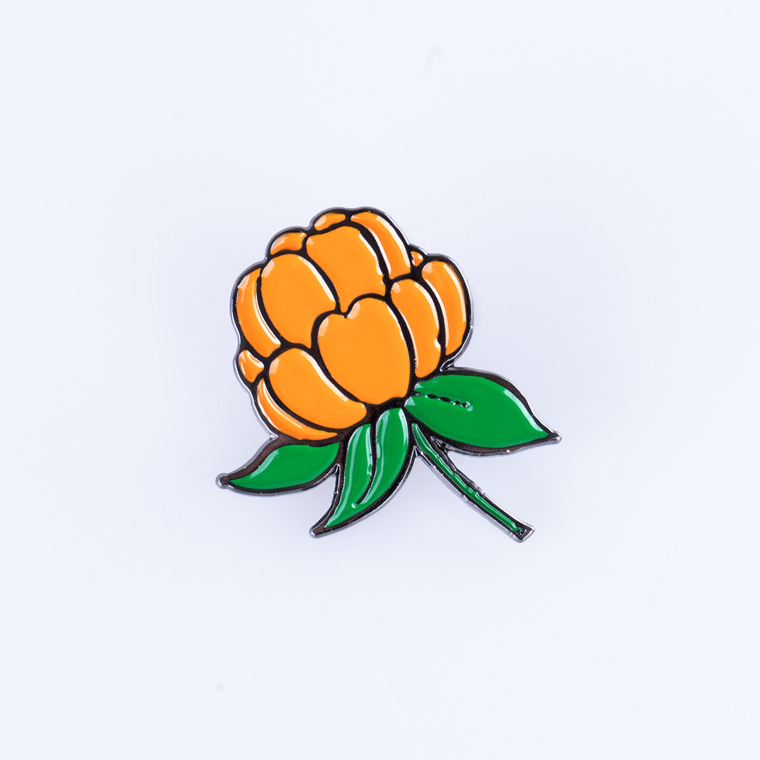 PINS - ENSTAKA