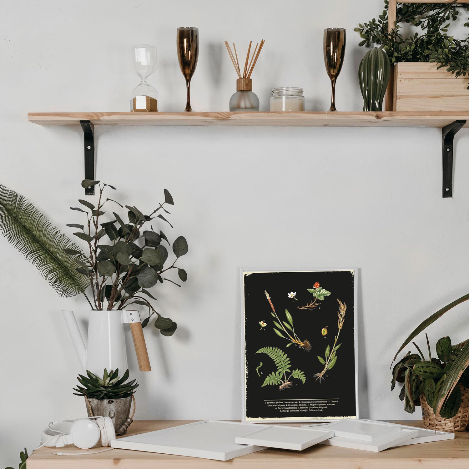 POSTER PLANTS