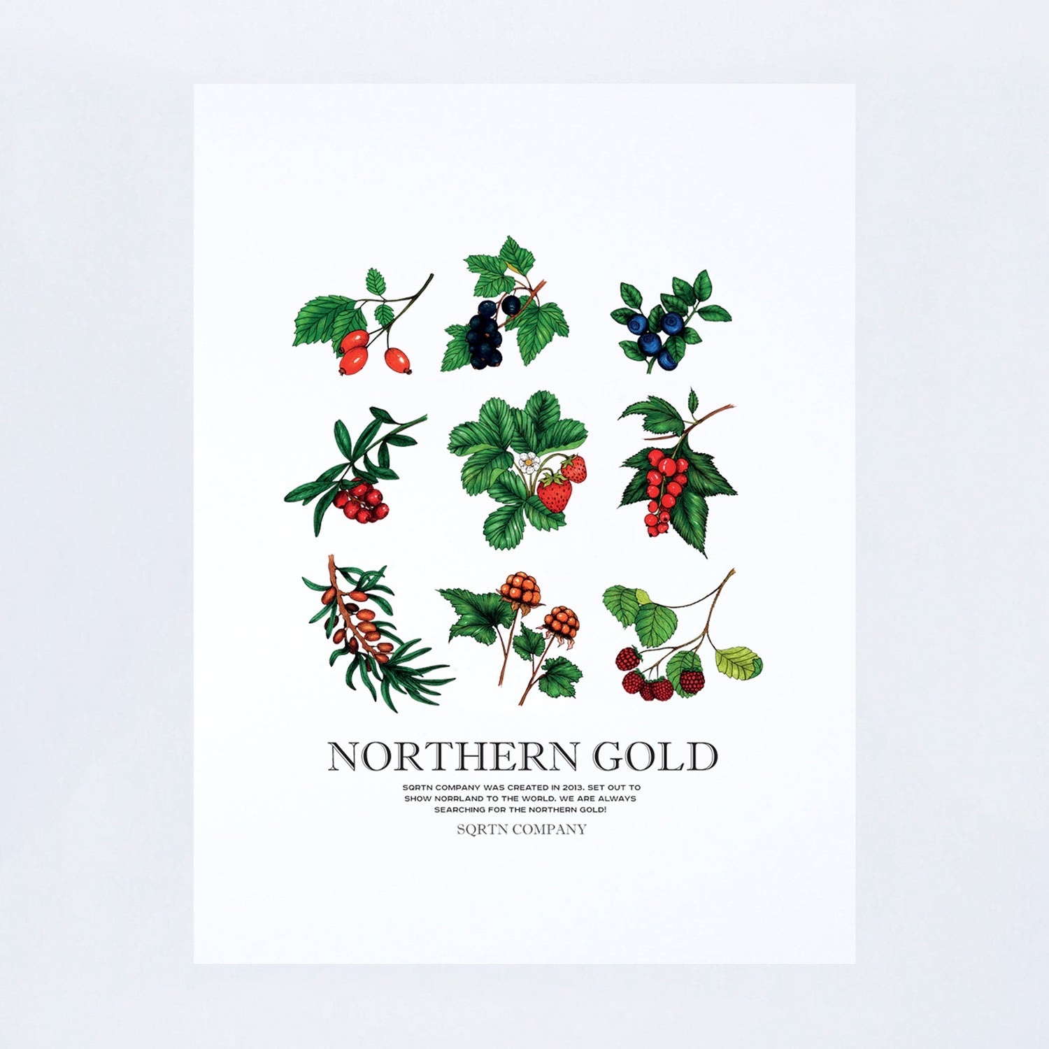 POSTER NORTHERN GOLD