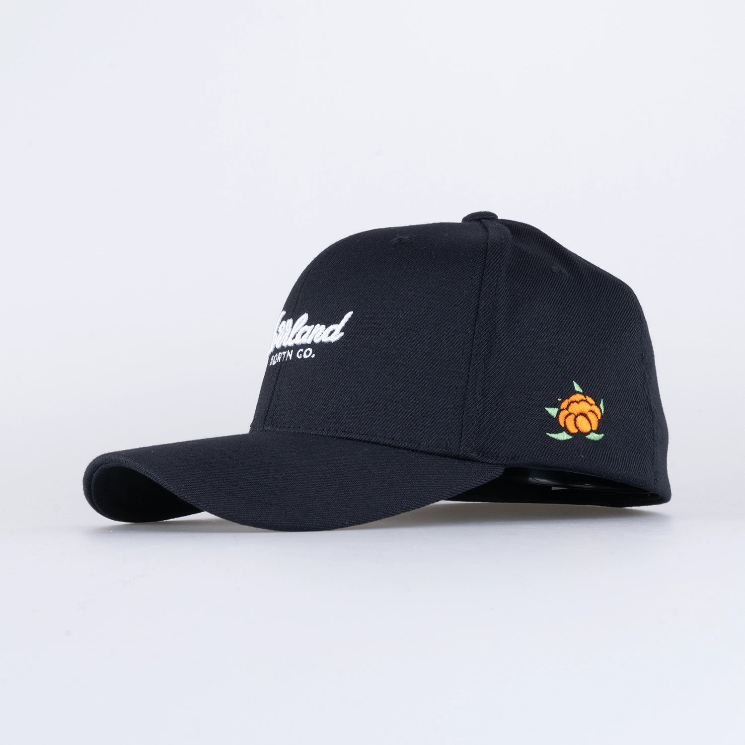 TGN SCRIPT FLEX CAP - BLACK