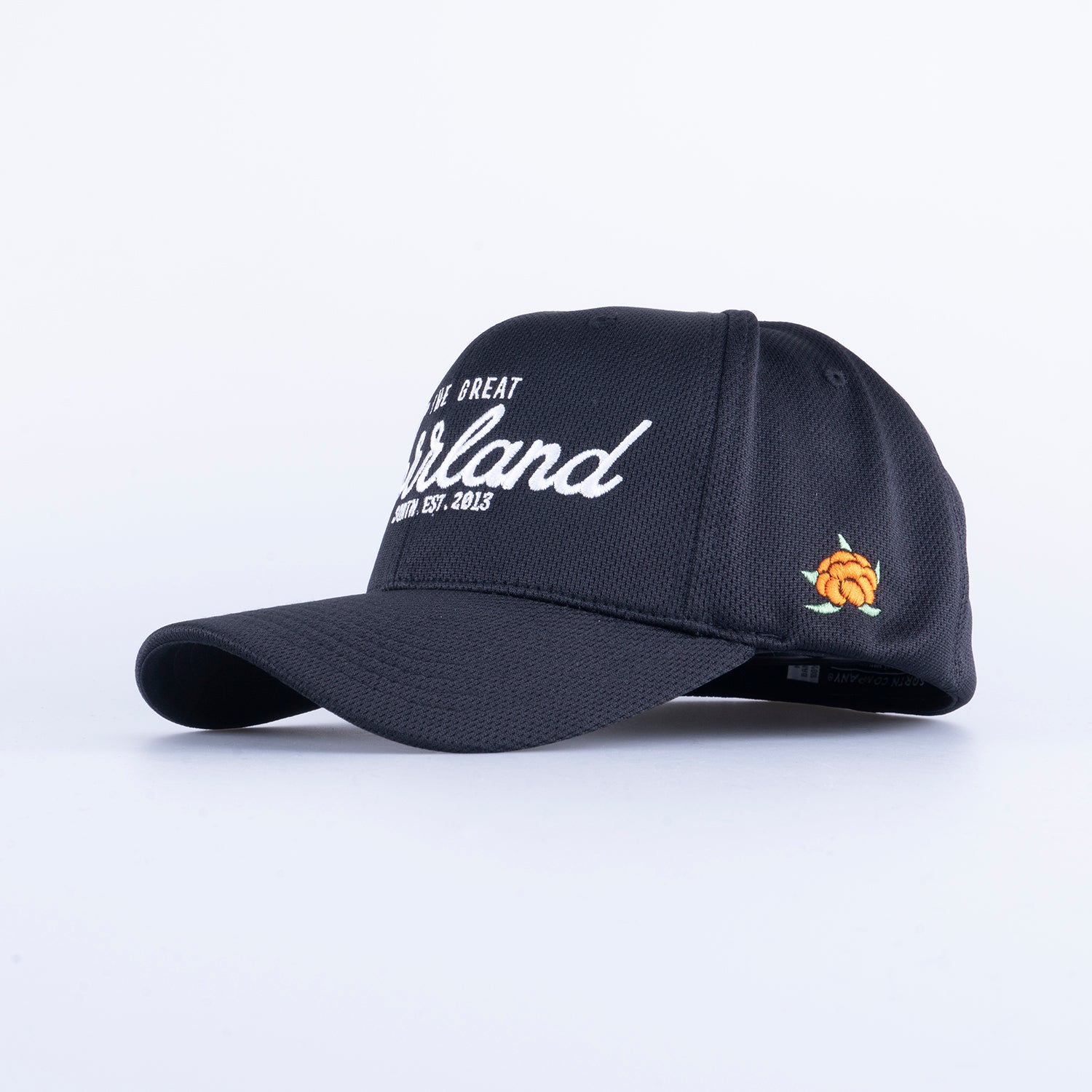 TGN SPORT FLEX CAP - BLACK